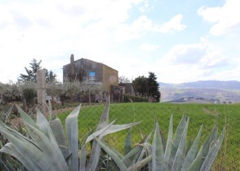 Foto 59 - Casa indipendente Contrada Reale
 
1, Cupello - foto 59