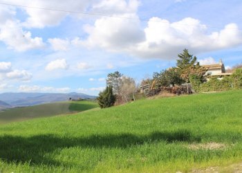 Foto 60 - Casa indipendente Contrada Reale
 
1, Cupello - foto 60