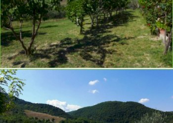 Terreni agricoli - Agriturismo contrada Coccioleto
 
73, Carpineto Sinello - foto 9