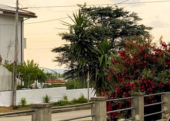 Foto 20 - Appartamento Contrada Acqua Chiara
 
66, Casalbordino - foto 20