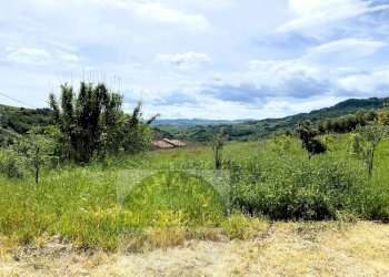 Foto 3 - Villa Contrada Montalfano
 
26, Cupello - foto 3