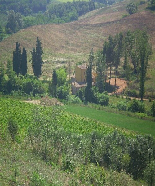 Foto 1 - Rustico Casciana Terme Lari - foto 1
