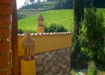 Foto 5 - Rustico Casciana Terme Lari - foto 5