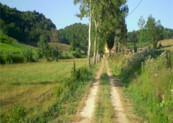 Foto 10 - Rustico Casciana Terme Lari - foto 10