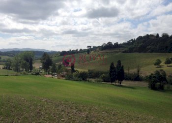 Foto 17 - Rustico Casciana Terme Lari - foto 17