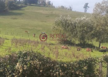 Foto 22 - Rustico Casciana Terme Lari - foto 22