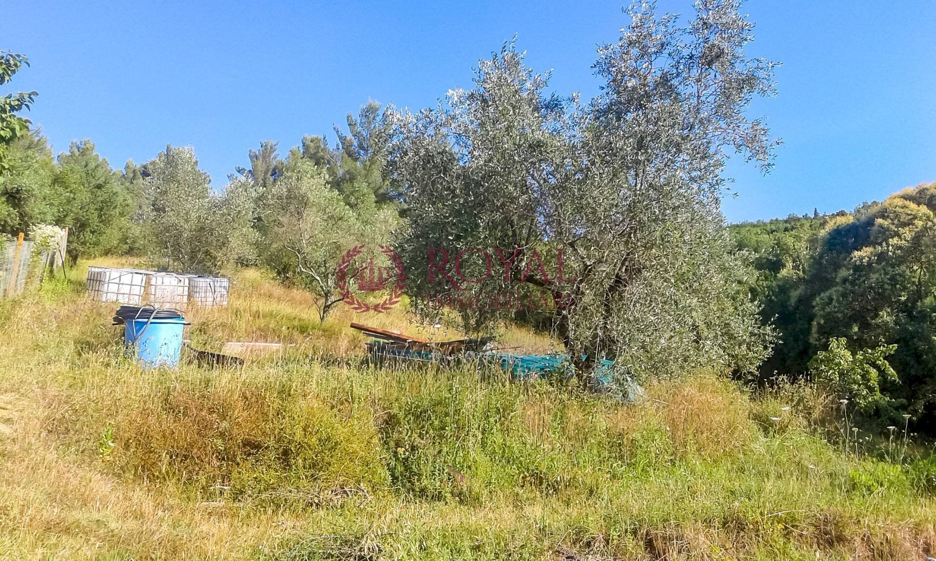 Foto 1 - Agricultural land Via Della Valle Benedetta, Livorno - photo 1