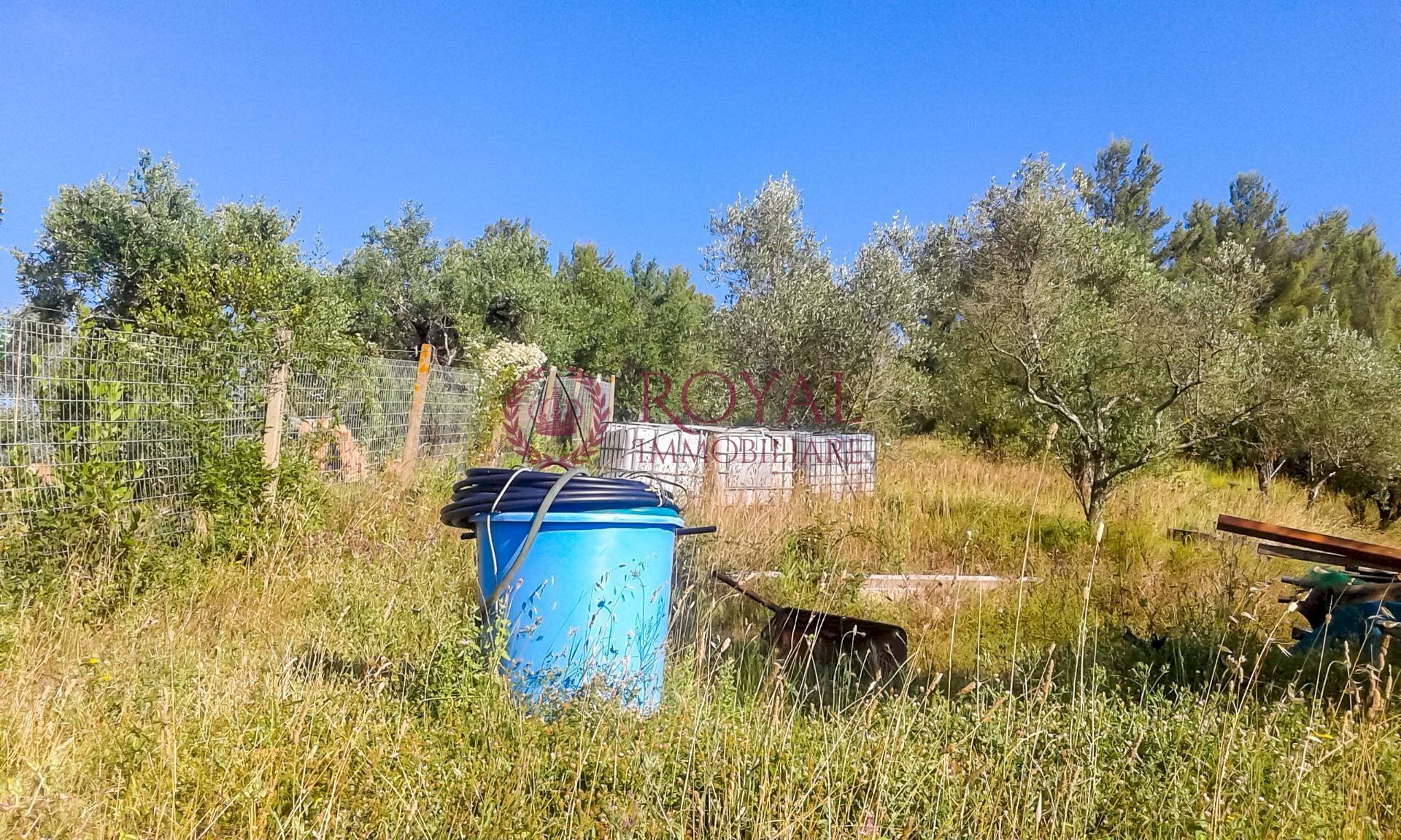 Foto 2 - Agricultural land Via Della Valle Benedetta, Livorno - photo 2