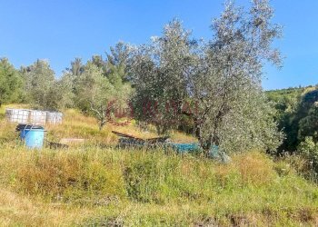 Foto 1 - Agricultural land Via Della Valle Benedetta, Livorno - photo 1