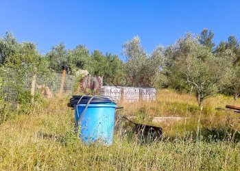 Foto 2 - Agricultural land Via Della Valle Benedetta, Livorno - photo 2