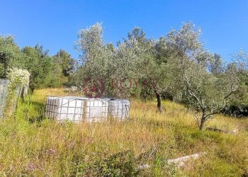 Foto 5 - Agricultural land Via Della Valle Benedetta, Livorno - photo 5