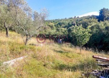 Foto 6 - Agricultural land Via Della Valle Benedetta, Livorno - photo 6