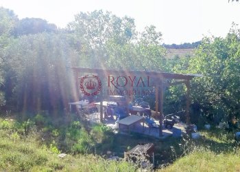 Foto 7 - Agricultural land Via Della Valle Benedetta, Livorno - photo 7