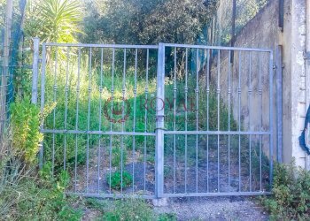 Foto 13 - Agricultural land Via Della Valle Benedetta, Livorno - photo 13