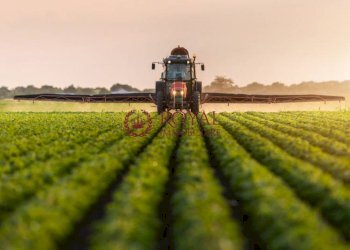 Foto 1 - Agricultural land Via Della Valle Benedetta, Livorno - photo 1
