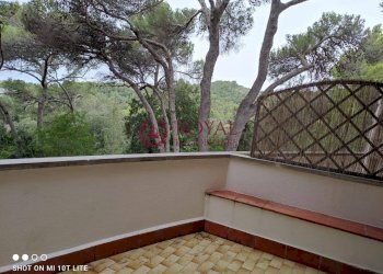 Foto 9 - Appartamento Via Aurelia, Rosignano Marittimo - foto 9