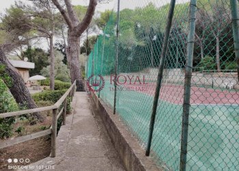 Foto 17 - Appartamento Via Aurelia, Rosignano Marittimo - foto 17