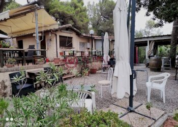 Foto 25 - Appartamento Via Aurelia, Rosignano Marittimo - foto 25