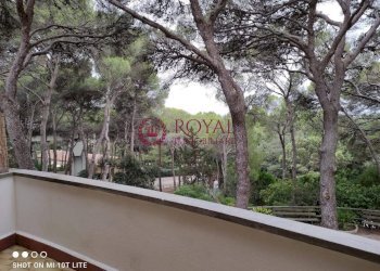 Foto 26 - Appartamento Via Aurelia, Rosignano Marittimo - foto 26