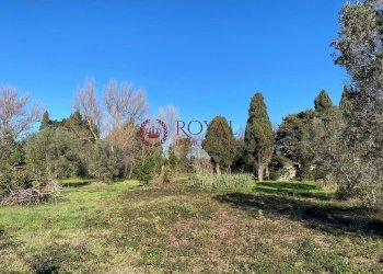 Foto 4 - Rustico Rosignano Marittimo - foto 4