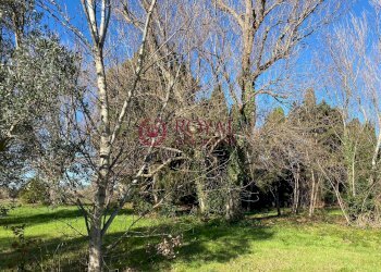 Foto 5 - Rustico Rosignano Marittimo - foto 5