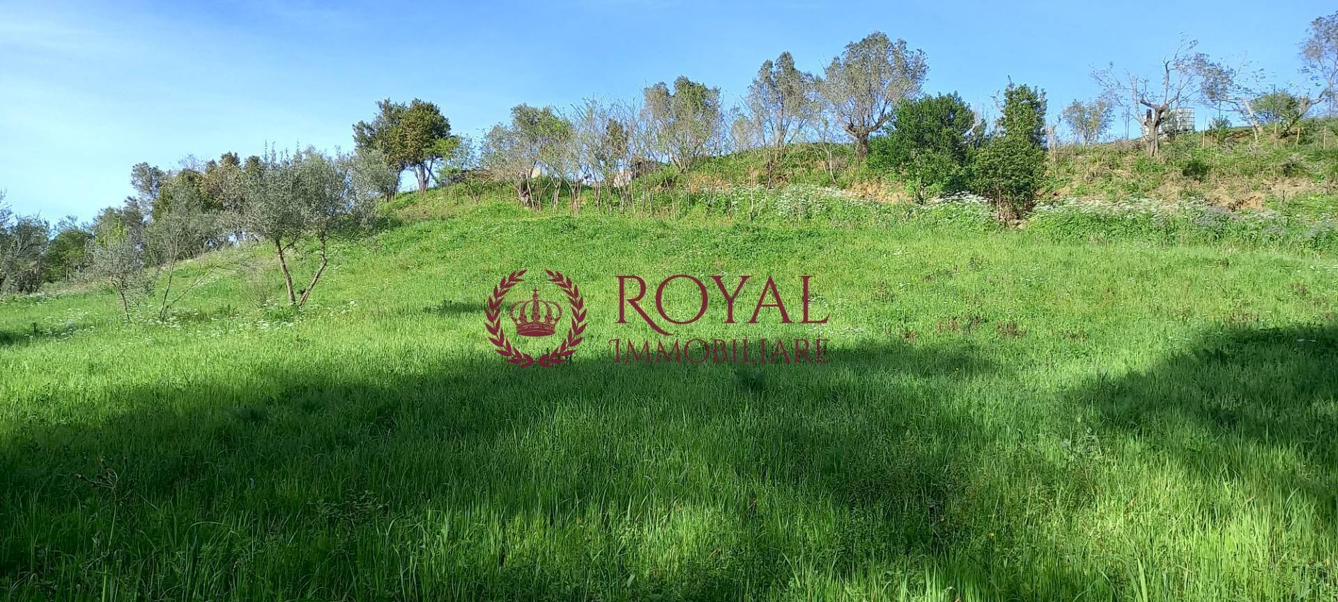 Foto 1 - Agricultural land Via Di Montenero, Livorno - photo 1