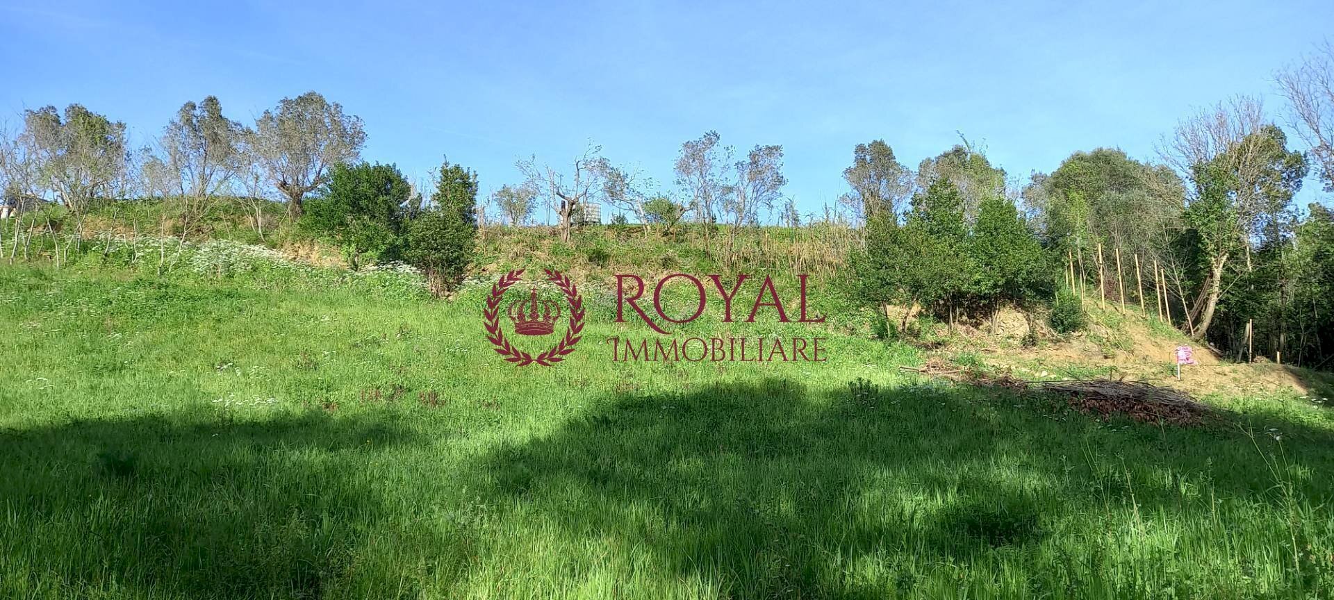 Foto 2 - Agricultural land Via Di Montenero, Livorno - photo 2