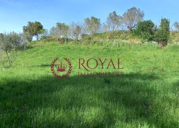 Foto 1 - Agricultural land Via Di Montenero, Livorno - photo 1