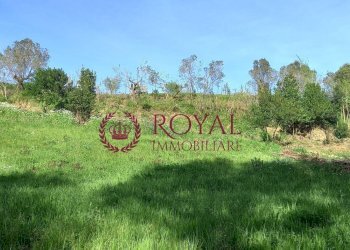 Foto 2 - Agricultural land Via Di Montenero, Livorno - photo 2