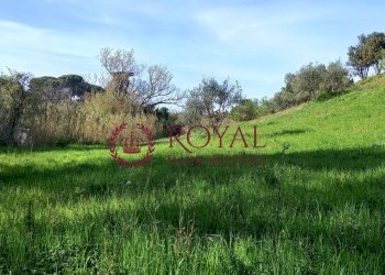 Foto 3 - Agricultural land Via Di Montenero, Livorno - photo 3