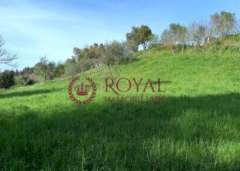 Foto 4 - Agricultural land Via Di Montenero, Livorno - photo 4