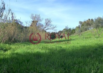 Foto 5 - Agricultural land Via Di Montenero, Livorno - photo 5