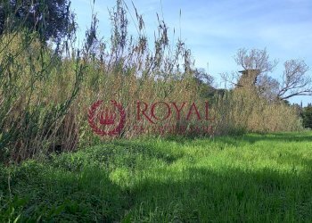 Foto 6 - Agricultural land Via Di Montenero, Livorno - photo 6