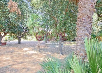 Foto 47 - Villa Via Montanara, Cecina - foto 47