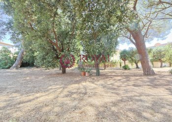 Foto 48 - Villa Via Montanara, Cecina - foto 48