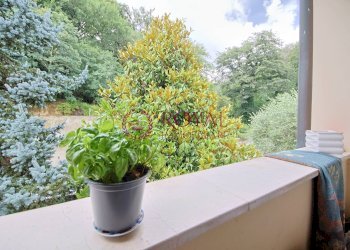 Foto 26 - Appartamento via delle querce, Collesalvetti - foto 26