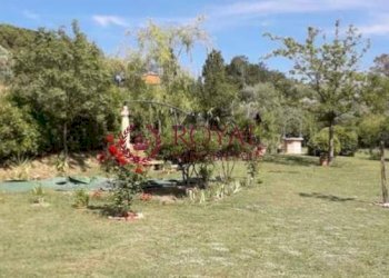 Foto 2 - Agricultural land VIA DEL LIMONE, Livorno - photo 2