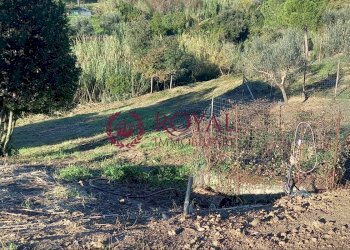 Foto 2 - Agricultural land Via Di Montenero, Livorno - photo 2