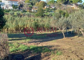 Foto 3 - Agricultural land Via Di Montenero, Livorno - photo 3