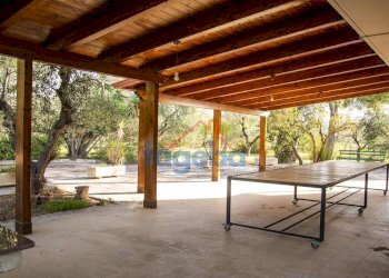 Foto 2 - Villa VIA  SANTA LUCIA, Trani - foto 2