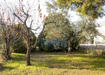 Foto 28 - Villa VIA  SANTA LUCIA, Trani - foto 28