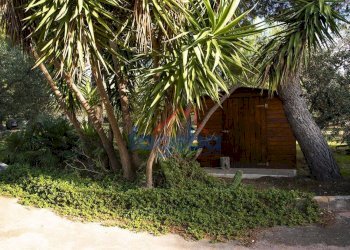 Foto 32 - Villa VIA  SANTA LUCIA, Trani - foto 32