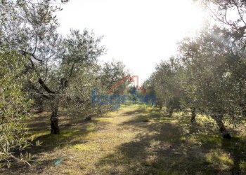 Foto 33 - Villa VIA  SANTA LUCIA, Trani - foto 33