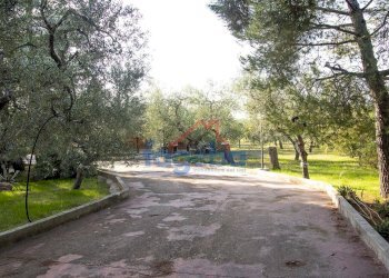 Foto 34 - Villa VIA  SANTA LUCIA, Trani - foto 34