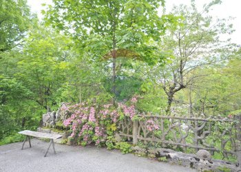 Giardino - Casa indipendente VIA DAMIANO CHIESA
 
SNC, Asiago - foto 11