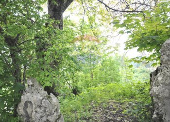 Giardino - Casa indipendente VIA DAMIANO CHIESA
 
SNC, Asiago - foto 13