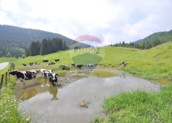Vista delle montagne - Casa indipendente VIA DAMIANO CHIESA
 
SNC, Asiago - foto 8