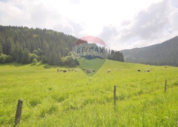 Vista delle montagne - Casa indipendente VIA DAMIANO CHIESA
 
SNC, Asiago - foto 17