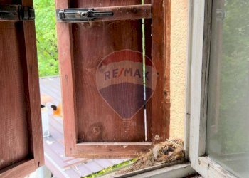 Dettagli - Casa indipendente VIA DAMIANO CHIESA
 
SNC, Asiago - foto 28