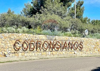 Giardino - Casa semi indipendente Codrongianos - foto 15